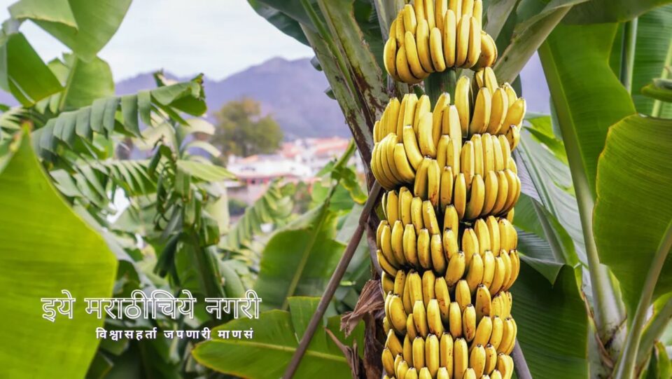 Benefits of Eating of Banana in Neettu Talks