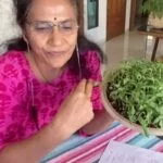 how-to-grow-micro-beans-in-home-video-by-pratima-battashe