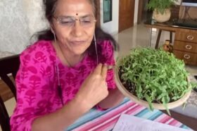 how-to-grow-micro-beans-in-home-video-by-pratima-battashe