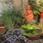 Garden decorated from waste video