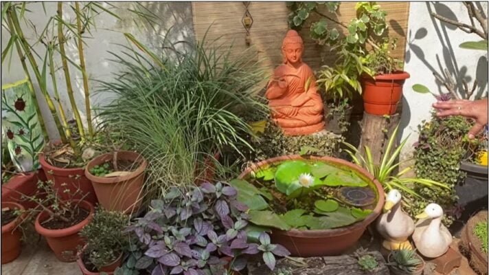 Garden decorated from waste video