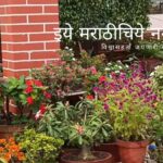 How to Maintain flowering in Garden Tips by Pramila Battase
