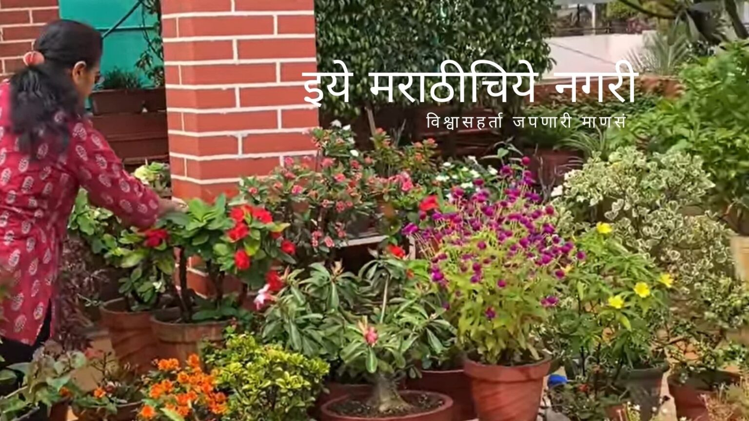 How to Maintain flowering in Garden Tips by Pramila Battase