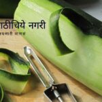 Packing Material From Cucumber Peel Kharagpur IIT research