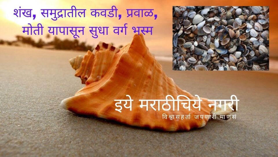 Scientist Find out mistakes in Bhasma Process Research article