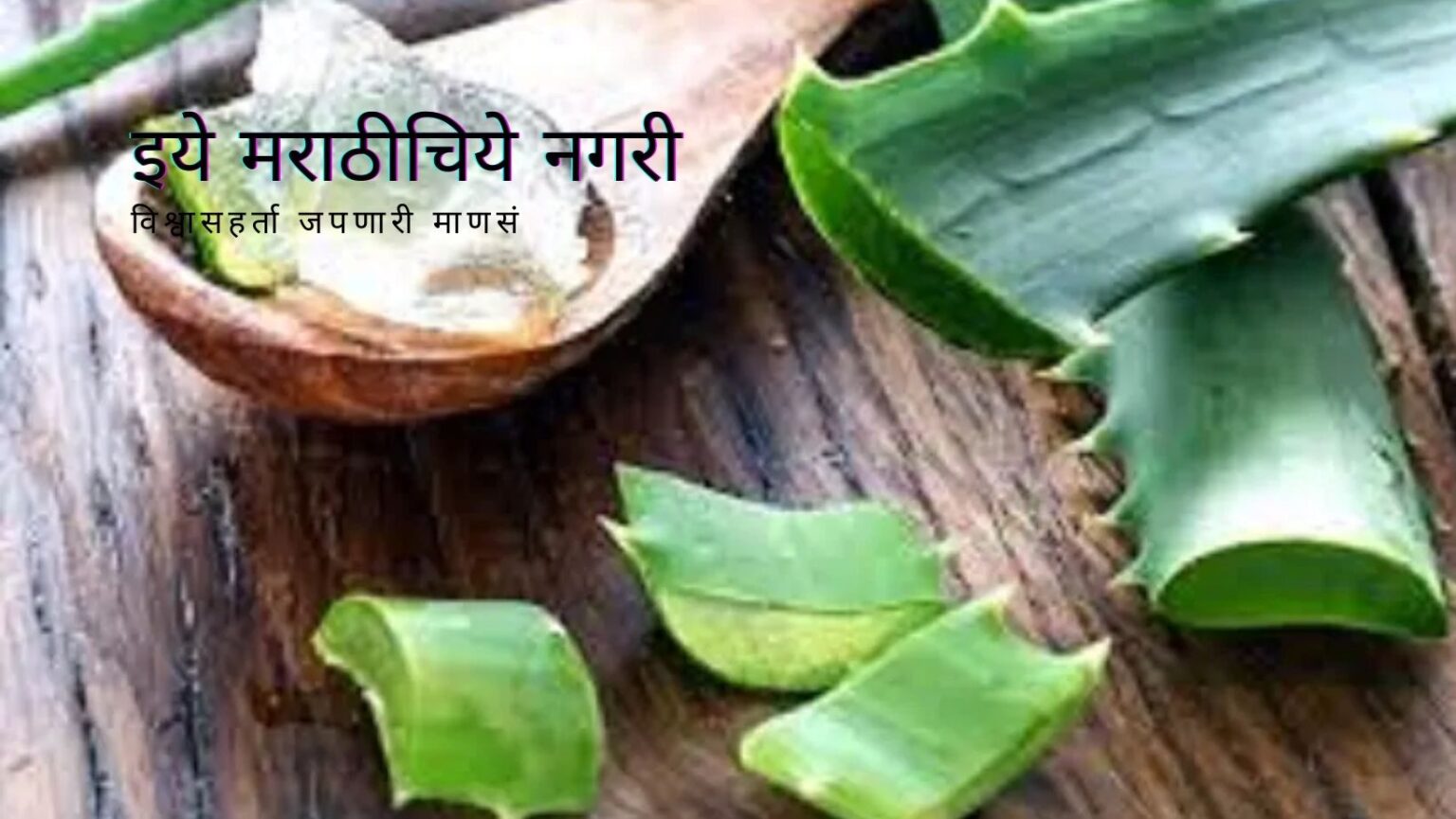 hair-pack-from-aloe-vera-and-fenugreek-seeds