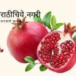 scrub-for-skin-from-pomegranate-peels