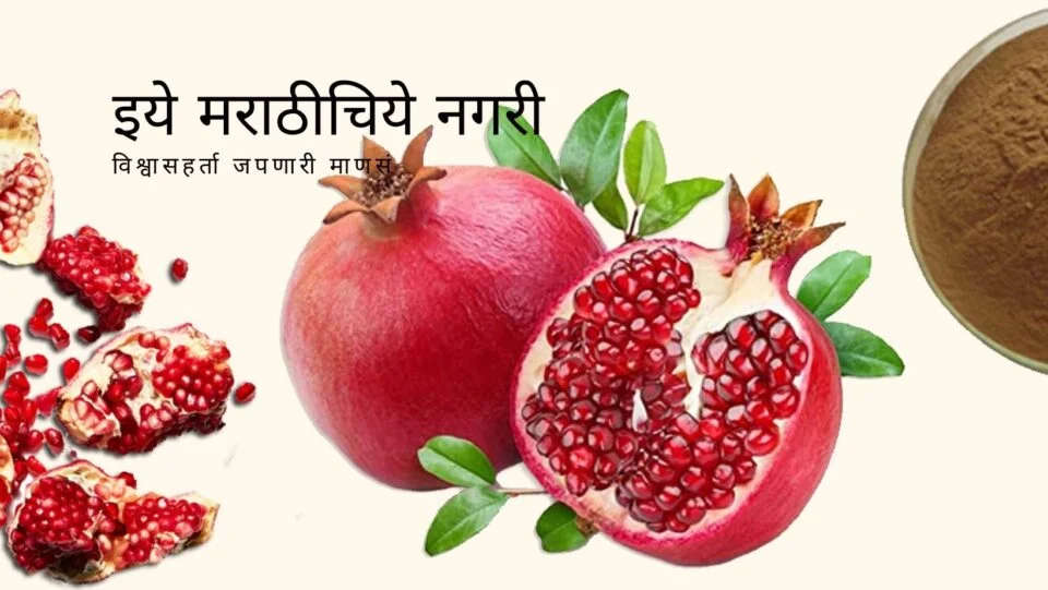 scrub-for-skin-from-pomegranate-peels