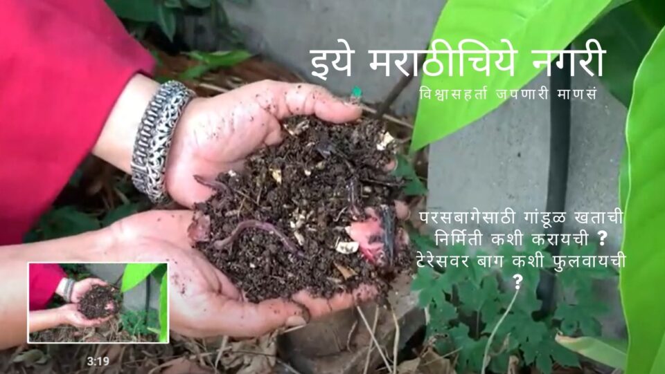 prepare-wormy-compost-for-home-garden