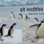 Antarctica Tour video by Jaiprakash Pradhan
