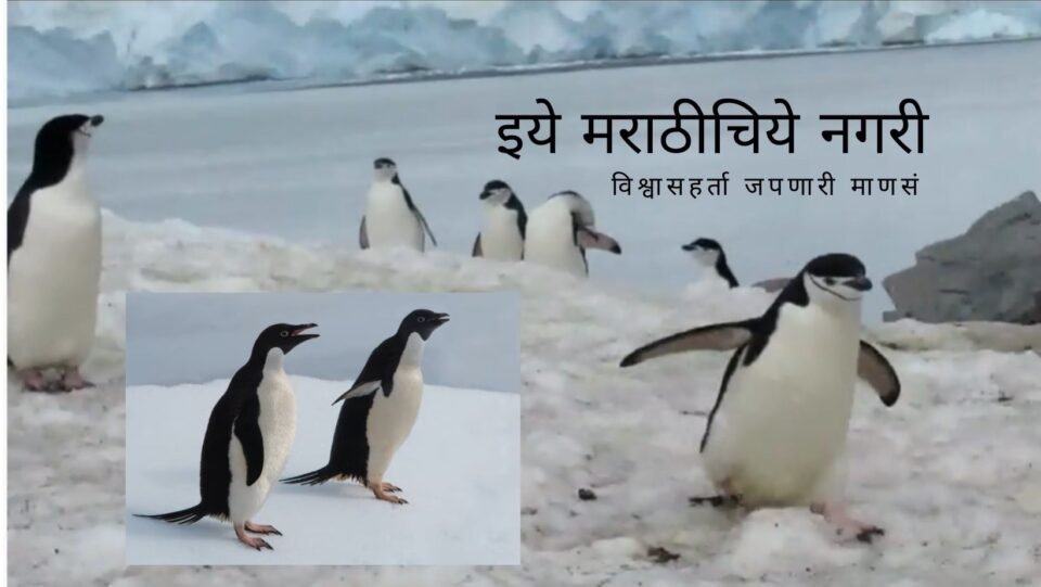Antarctica Tour video by Jaiprakash Pradhan