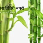 Kalki Poem By Ram Benke