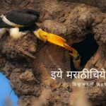 Need for Maha tree conservation for Sahyadri Bhushan Dhanesha