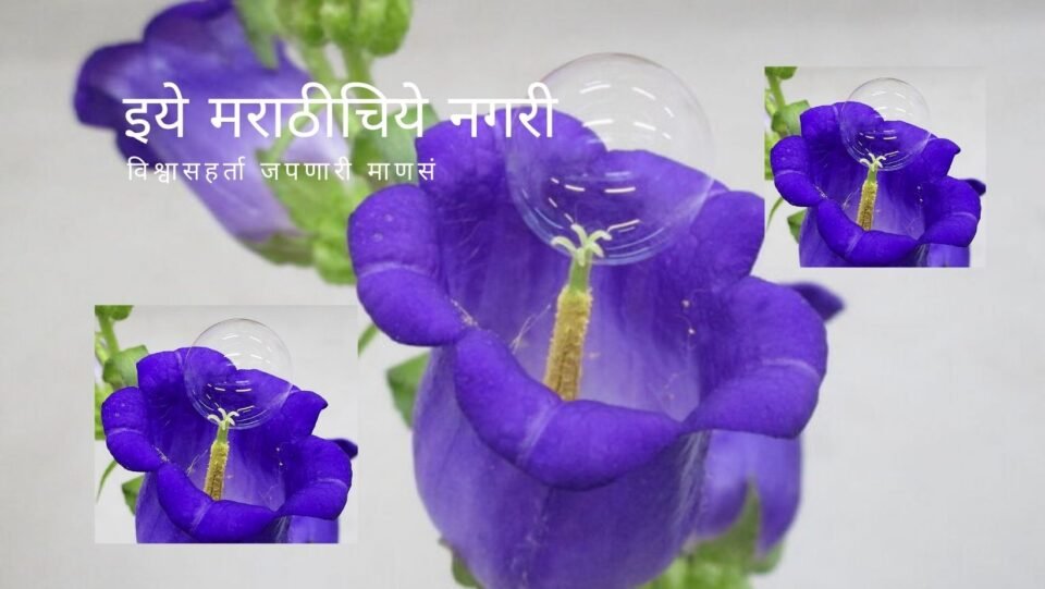 Soap Bubbles for Pollination New Research