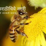World Honey Bee Day Special Article by J D Pradkar