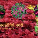 Coleus Plant Care Tips by Smita Patil