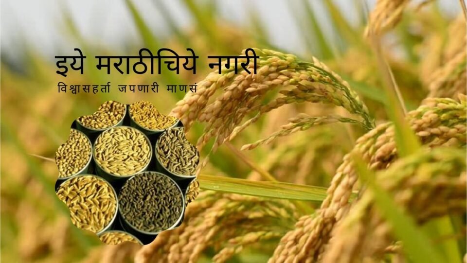 Conservation of Traditional Paddy Variety in Sidhagiri Math KVK Kaneri