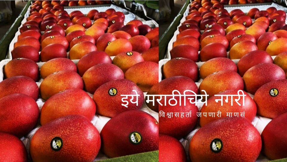 Expensive Mango Japans Miyazaki article by vilas patne