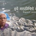 Precaution To Control Ammonia in Farm pond