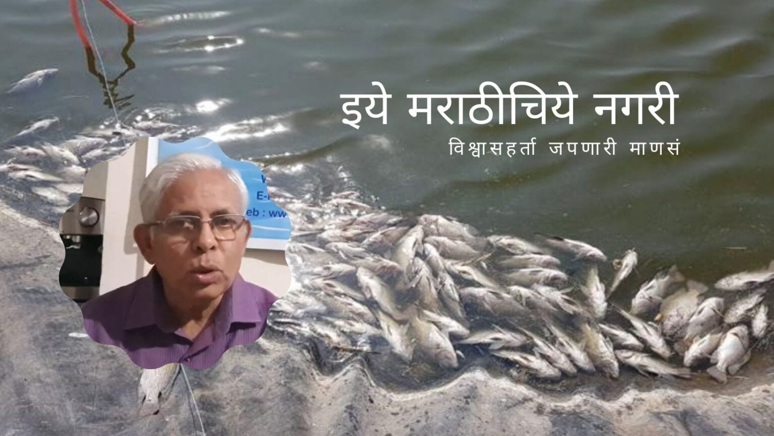 Precaution To Control Ammonia in Farm pond