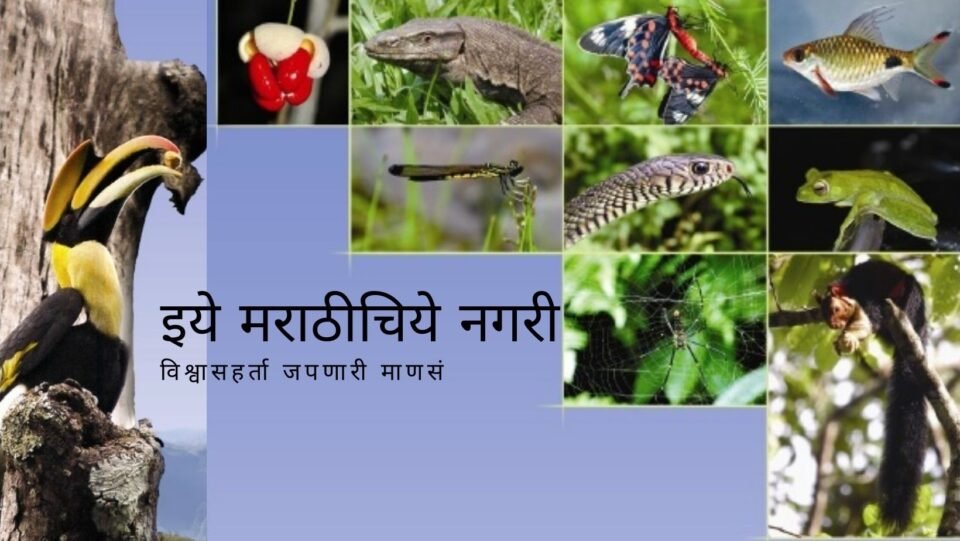 world-environment-day Madhavrao Gadgil Committee report and Todays Konkan