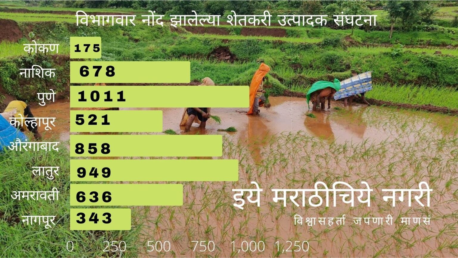 Farm Producer Organisation Double in Lockdown Period in Maharashtra