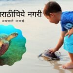 The need for coastal conservation on the occasion of turtles
