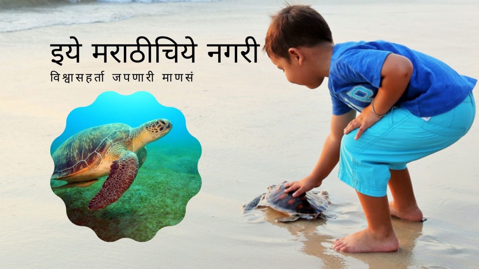 The need for coastal conservation on the occasion of turtles