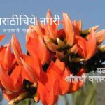 Butea Monosperma Palas Medicinal Plant