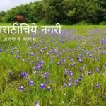 Need of conservation of barren rocky or stony wasteland