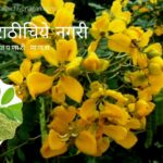 Sonamukhi Medicinal Plant