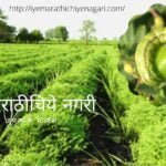 Gram cultivation Technique by Krishna Kale