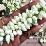 Prachi Pendase article on boys selling Gajara on Signal