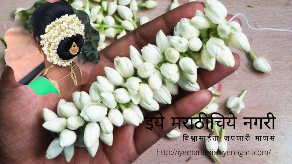 Prachi Pendase article on boys selling Gajara on Signal