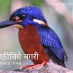 navratri-theme-biodiversity-in-red-color-by-pratik-more