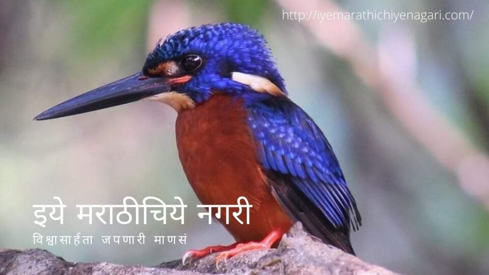 navratri-theme-biodiversity-in-red-color-by-pratik-more