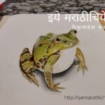 3 d frog drawing by saloni lokhande jadhav