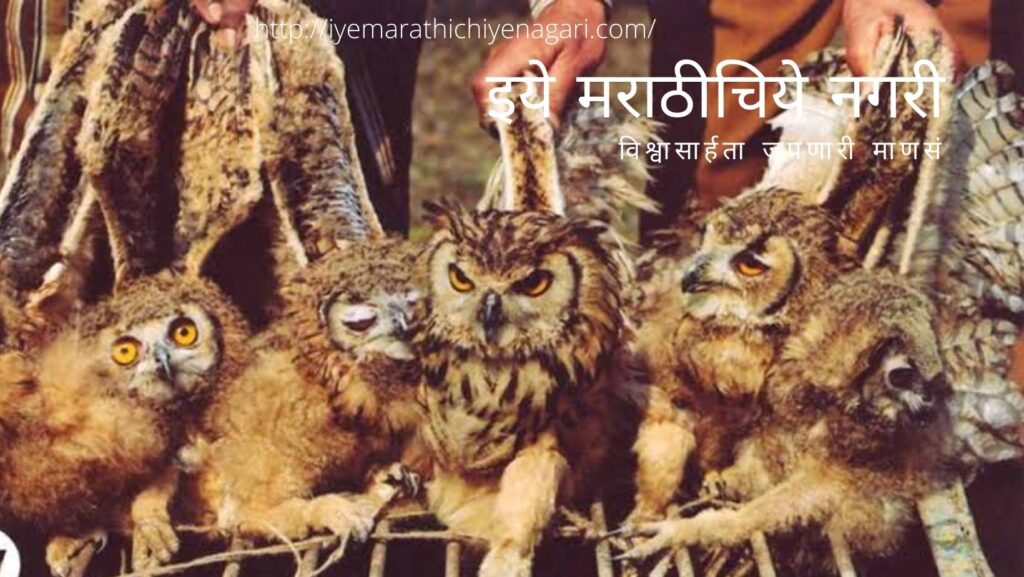 Birdlife in the grip of superstition article by Pratik More