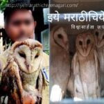 Birdlife in the grip of superstition article by Pratik More