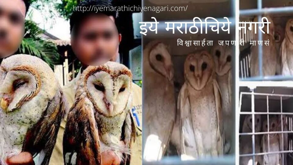Birdlife in the grip of superstition article by Pratik More