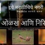 Birds Found In Sangli AIr Broadcast center
