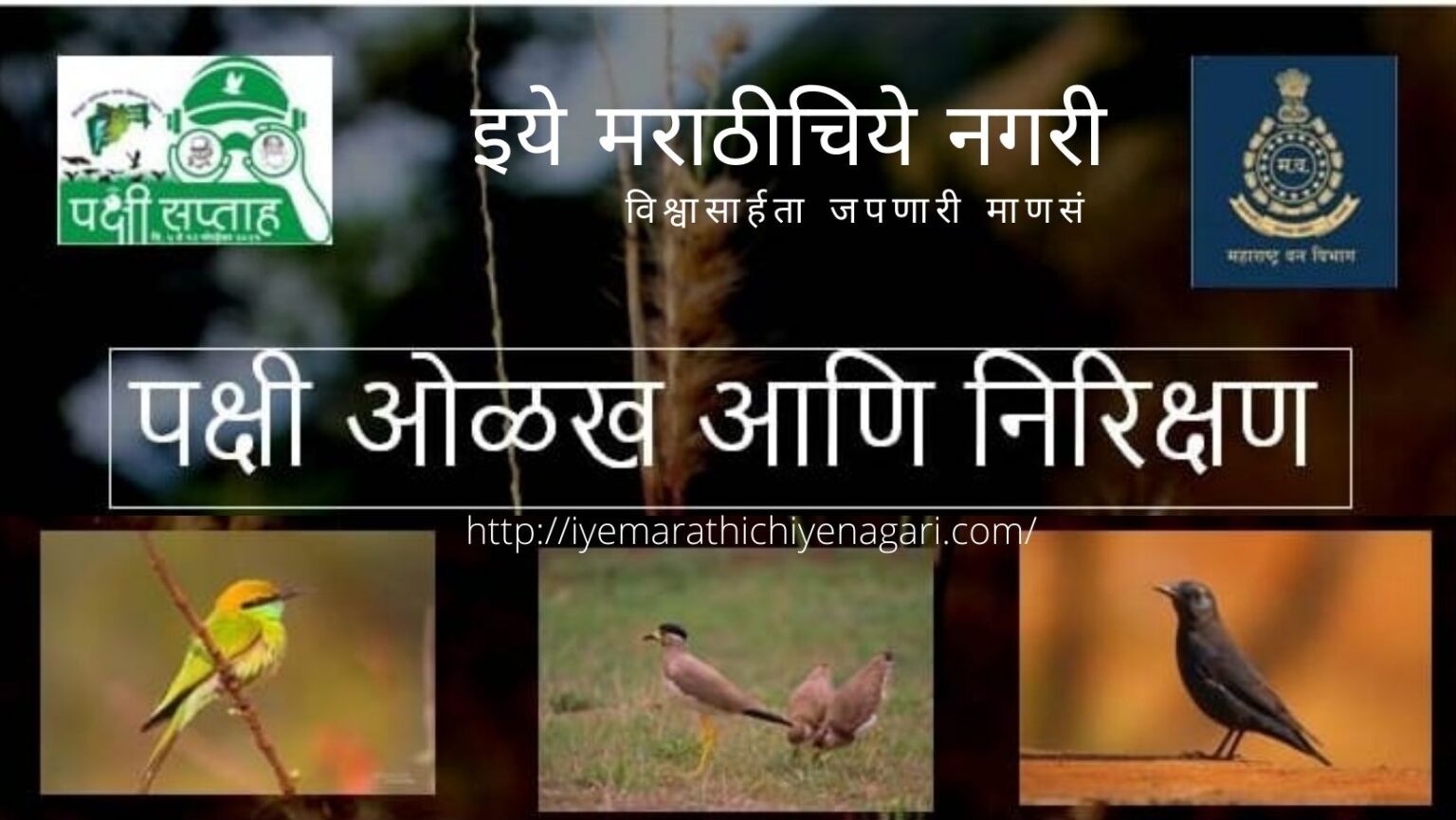 Birds Found In Sangli AIr Broadcast center