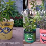 Decorate Garden pots video by Saloni Jadhav art