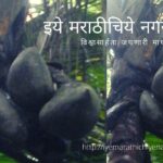 Double Coconut article by Jaiprakash Pradhan