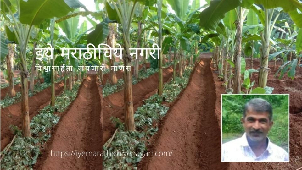 Farmer Done Plantation of Traditional Banana in Asurde Village