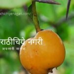 Nagbali fruit tree article by V N Shinde