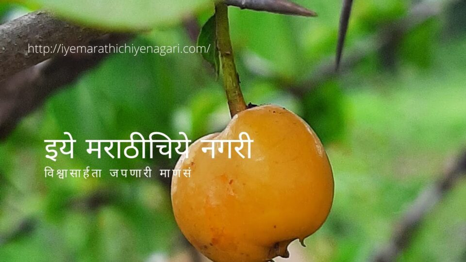Nagbali fruit tree article by V N Shinde