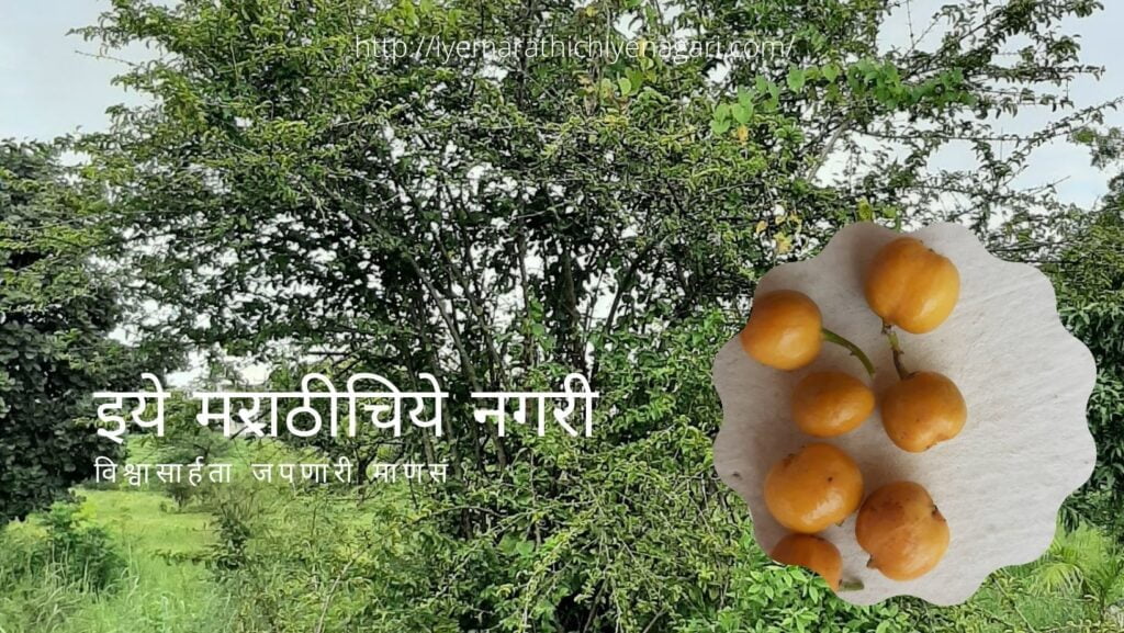 Nagbali fruit tree article by V N Shinde