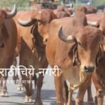 Vasubaras specials article on Dnyneshwari by rajendra Ghorpade