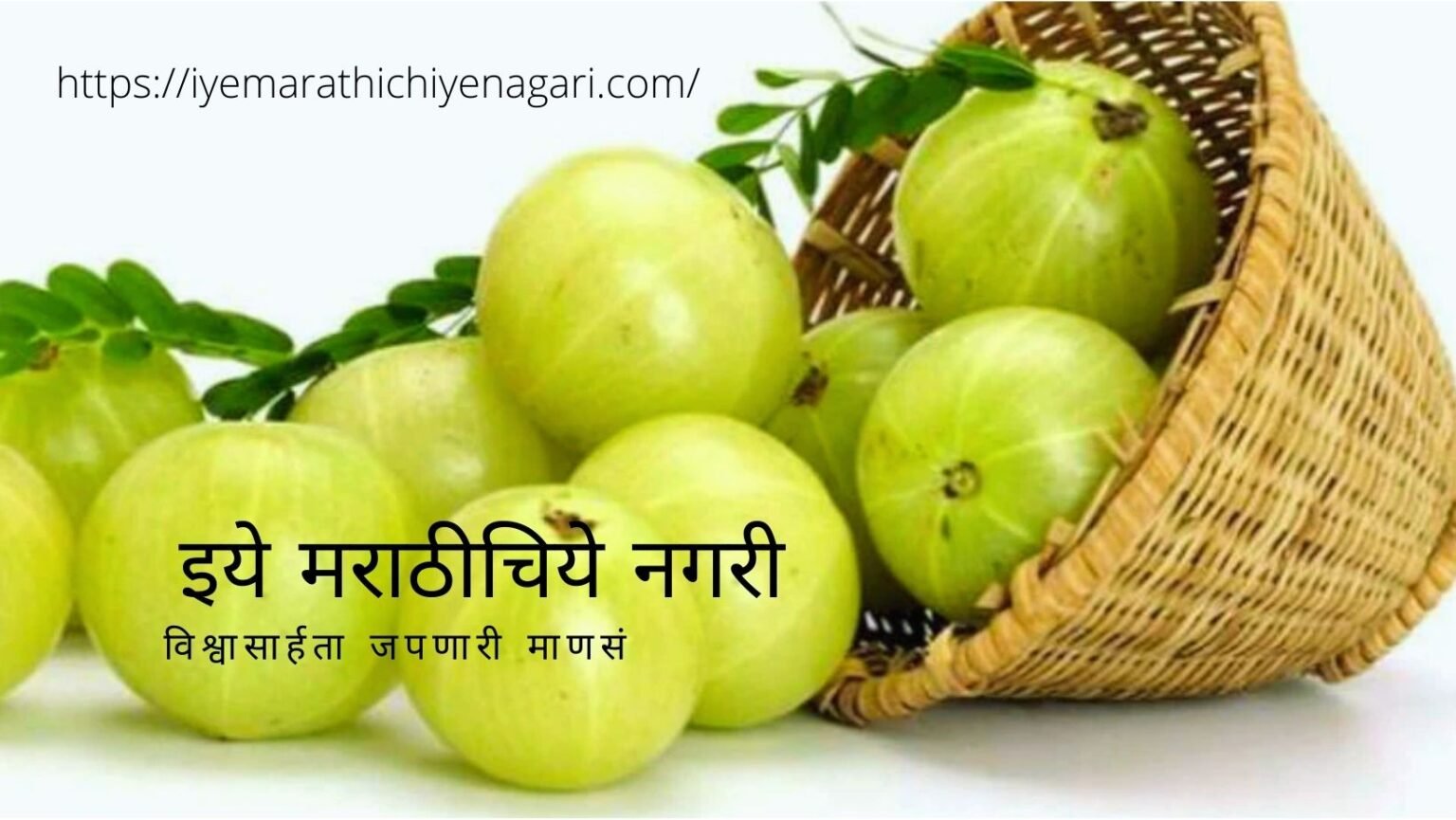 Importance of Phyllanthus Emlica article by Dr V N Shinde